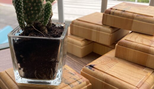 廃材を利用したSDGｓ植物台座