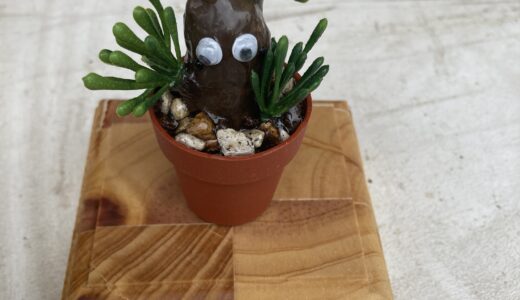 廃材を使った植物台座こんな使い方もありますよ～